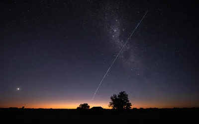 ‘Say Thank You’ oan