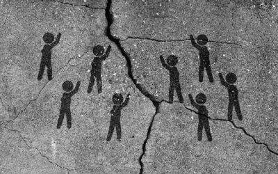 New Study Reveals How DEI Training Increases Hostility