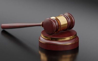 Governance By 677 Gavels | zh