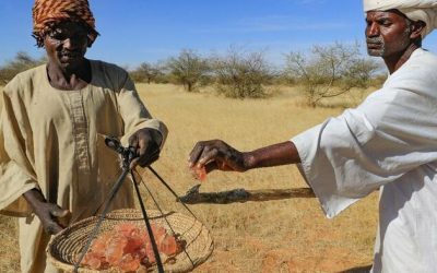 Key Coca-Cola & Pepsi Ingredient ‘Controlled By RSF Paramilitary In Sudan’