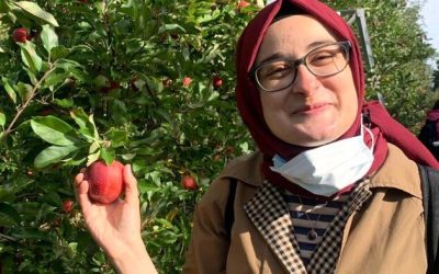 Federal Judge Blocks Deportation Of Tufts University Student Detained By ICE