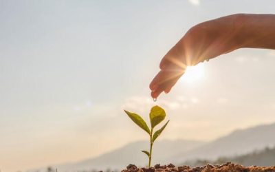 The Epidemic Beneath The Surface: Disconnection, Discomfort, & The Death Of Resilience
