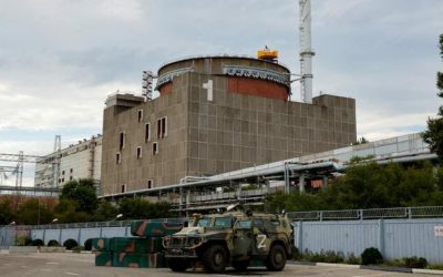 US Could Take Over Ukraine’s Nuclear Plants To ‘Protect’ Them: Trump Told Zelensky