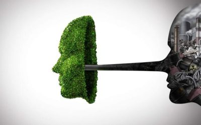 Ten Environmentalist Myths | zh