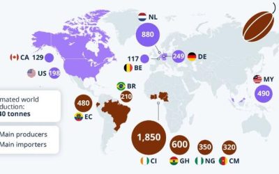 Cocoa: The Global Trade Of “Brown Gold”