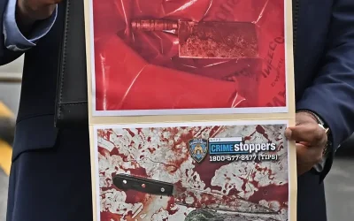 4 Kids Stabbed With Meat Cleaver, Suspect Shot By NYPD  oan