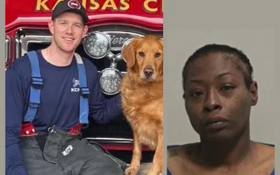 Patient Fatally Stabs Paramedic Assisting Her In Ambulance oan