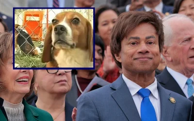 ‘Trump Impeachment-Filer’ Rep. Thanedar’s Pharma Company Abandoned Over 170 Dogs And Monkeys, Leaving Them To Die oan
