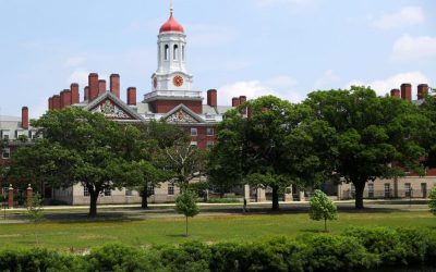 Harvard Renames DEI Office Amid Ongoing Federal Funding Dispute With Trump Admin oan
