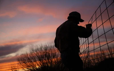 Trump Threatens Mexico With Tariffs And Sanctions For ‘Stealing’ Water From Texas Farmers oan