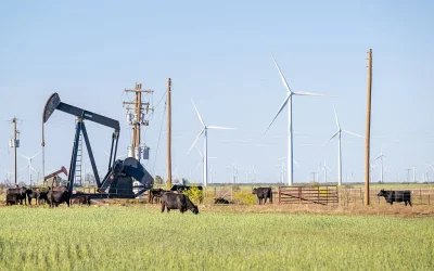 Trump Admin To Increase Gulf Oil Output By 100K Barrels Daily Under New Drilling Plan oan