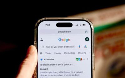 ‘Betrayed, That’s The Word’: Small Business Owners Reel as Google AI Destroys Google Search