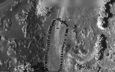 “Oops”: Trump Shares Video Boasting Of Huge Deadly Strike In Yemen