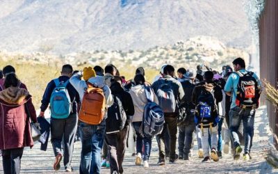 Labor Secretary Warns States Could Lose Federal Funding If Illegal Immigrants Get Unemployment Benefits