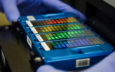 States Move To Protect Americans’ DNA From China
