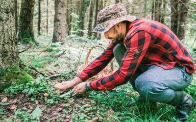 A Key Antioxidant For Longevity Is Fading From Our Food Supply