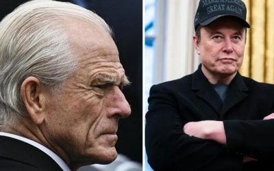 “Navarro Is Truly A Moron”: Musk Slams Trump Trade Czar In Ongoing Tariff Feud