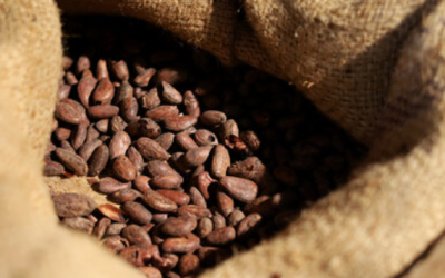 Keep An Eye On Cocoa Prices