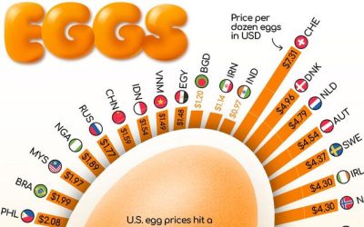 Here’s What The World’s Paying For Eggs