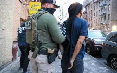 arresting illegal aliens as they leave mandatory immigration court hearings oan