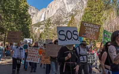 Trans activists unveil massive transgender pride flag at Yosemite National Park while condemning Trump oan