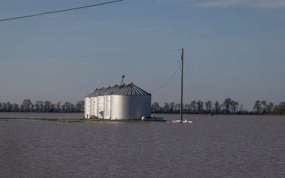 At Least 21 Dead As Severe Storms And Tornadoes Ravage Midwest And South oan