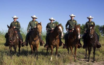 The Latest Border Patrol Numbers Are Here And Wow…