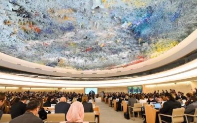 China Deploys ‘Growing Army’ Of Pro-Beijing NGOs To UN To Target Critics: Report