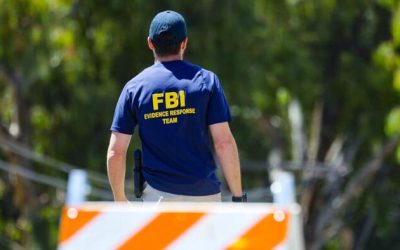 FBI Deputy Director Says Illegal Immigrant Criminals, Child Predators Are Top Priority