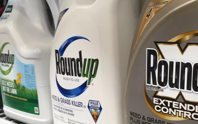 Bayer’s Push For State-Level Roundup Immunity Sparks Backlash In The Heartland