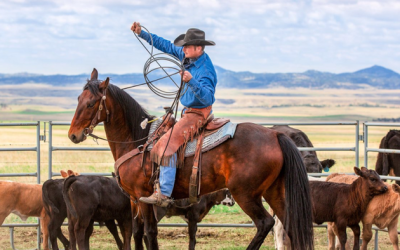 Dr. Naomi Wolf: War On Ranchers And Erosion Of Food Freedom