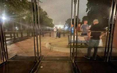 Incoming Riots Or Just July 4 Prep? White House, Treasury Lined By Anti-Scale Fence