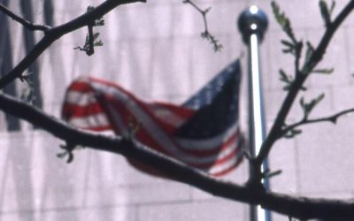 Is Birthright Citizenship A National Suicide Pact?