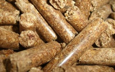 Wood Pellets: America’s Underrated Power Play