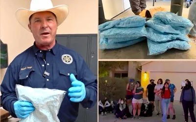 major fentanyl and meth drug bust delayed after ‘idiot’ protesters confuse it with ICE raid oan