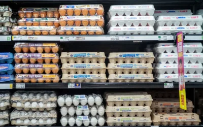 Egg costs down 61% since start of Trump’s second term oan