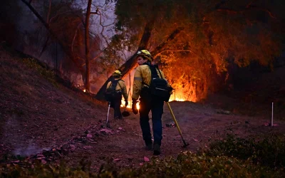 2 Idaho firefighters shot dead in ambush attack after gunman deliberately started wildfire oan