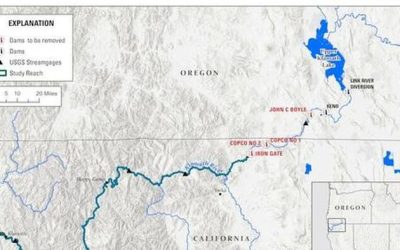 DAM IT! The Left Coast’s $600M Fish-Killing Grift