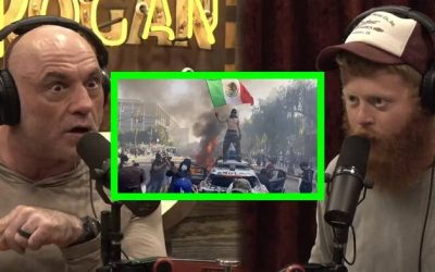 Joe Rogan Sums Up LA Riots With One Profound Word