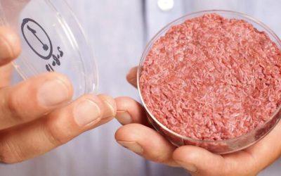 Beyond Beyond Meat: Lab Grown Meat Has Now Arrived For Sale In 3 Countries