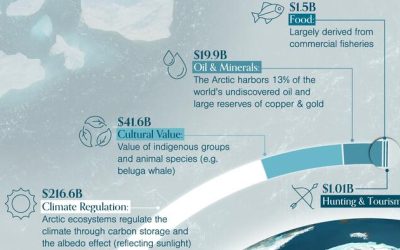Visualizing The Economic Value Of The Arctic