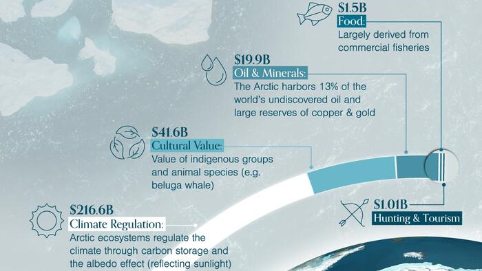 Visualizing The Economic Value Of The Arctic
