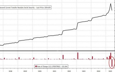 DOGE Sparks Biggest Plunge In Social Security Handouts Ever; Fed’s Favorite Inflation Indicator Ticked Higher In May