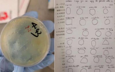 Wuhan Researcher Charged With Smuggling Biological Materials Into US Lab