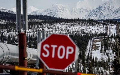Interior Dept. Proposes Opening Up 82 Percent Of Alaskan Petroleum Reserve