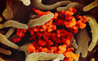 CDC: New COVID Variant Estimated To Be No. 1 Strain In US