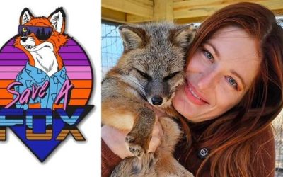 Popular Fox Rescuer Commits Suicide After Degenerate Redditors Launch Character Assassination Campaign