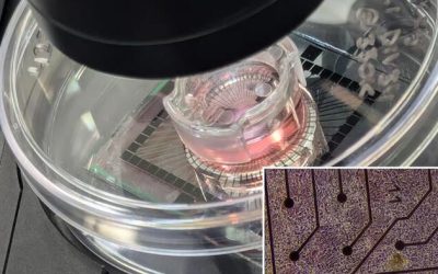 Meet The Dystopian Startups Making ‘Biological Computers’ From Human Cells