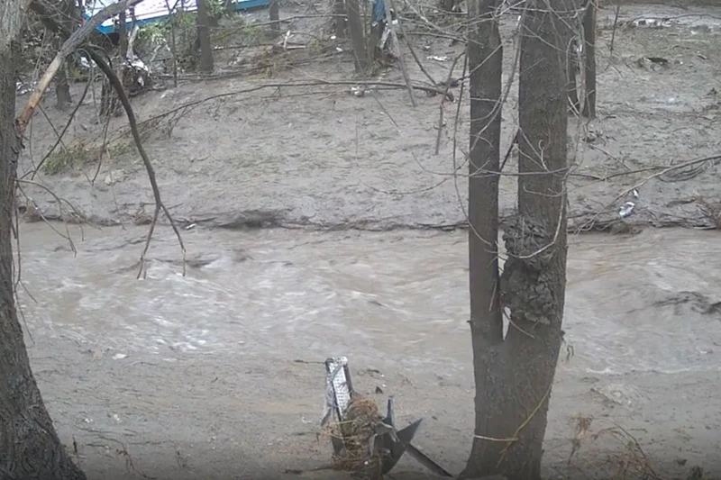 At least 3 dead, including 2 children, in flash floods  oan