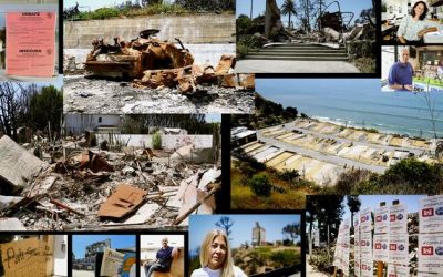 How Things Stand 6 Months After Palisades Fire